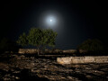 Olive Tree and Moon, Valle dei Templi, Sicily